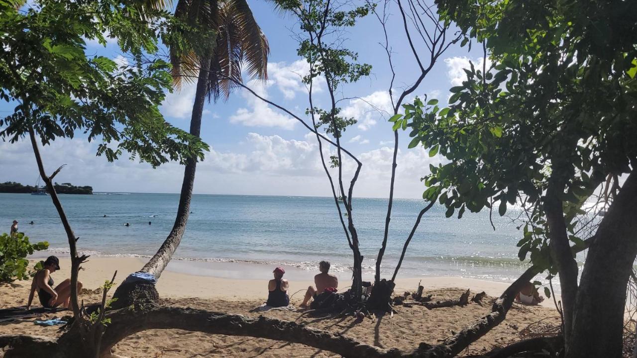 Villa Caraibes Vue Mer Exceptionnelle Le Marin Exteriör bild
